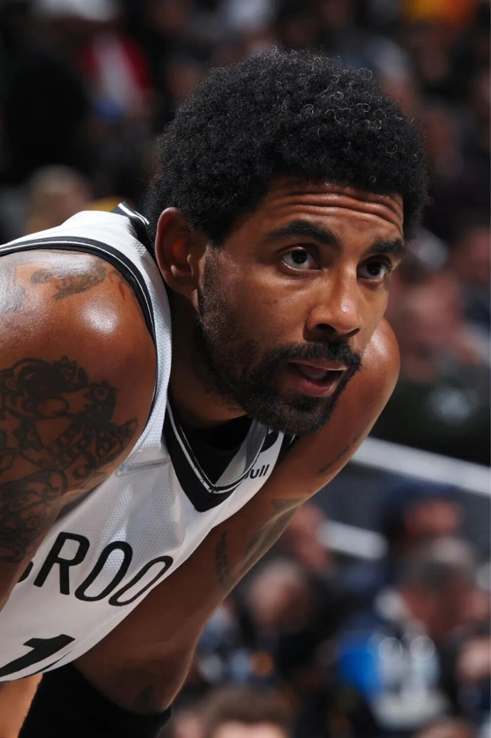 篇文章会在 篇文章会在